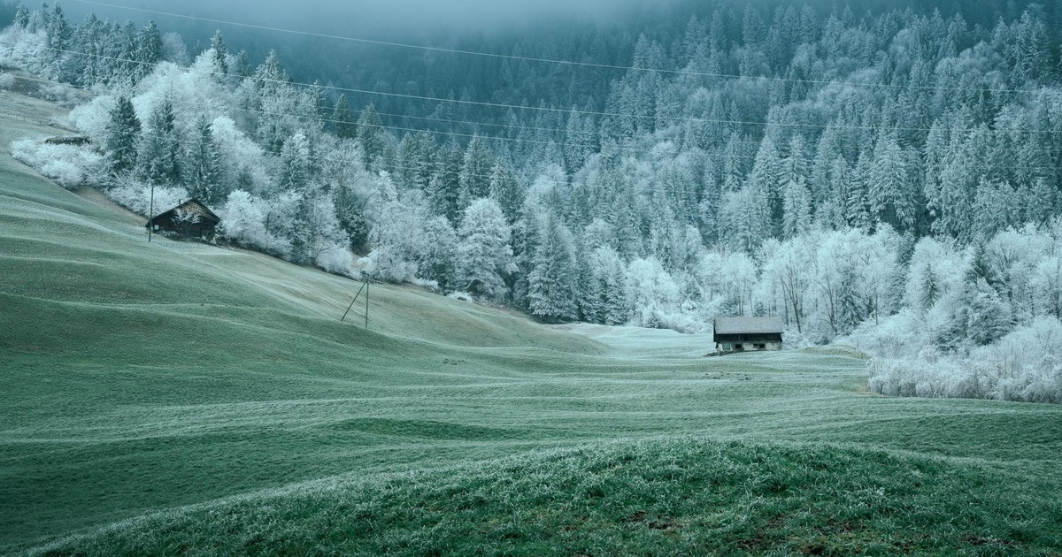 A tranquil winter scene with frosted trees and lone cabins in a misty forest.