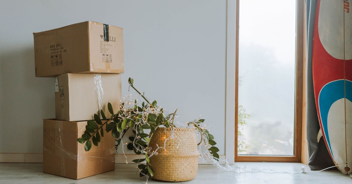 A cozy indoor scene featuring cardboard boxes, a plant, and a surfboard near a window.