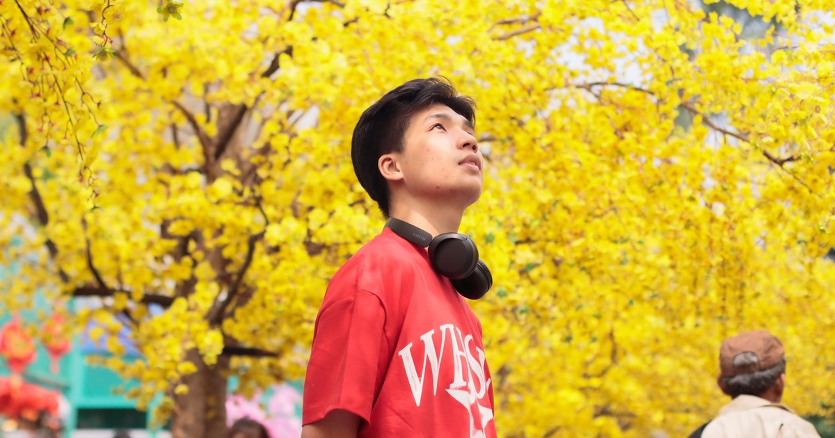 A serene moment as a young man admires blooming yellow trees in a lively outdoor setting.