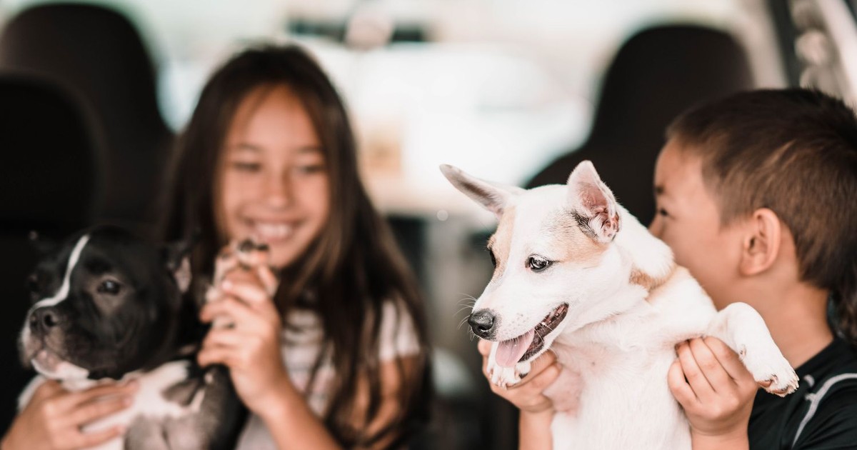 Two children joyfully play with dogs in a car, capturing a lively and affectionate moment.
