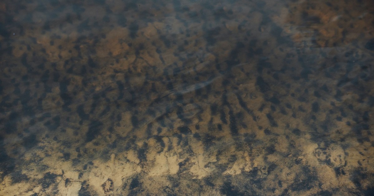 Calm underwater view of sand patterns beneath ocean water.