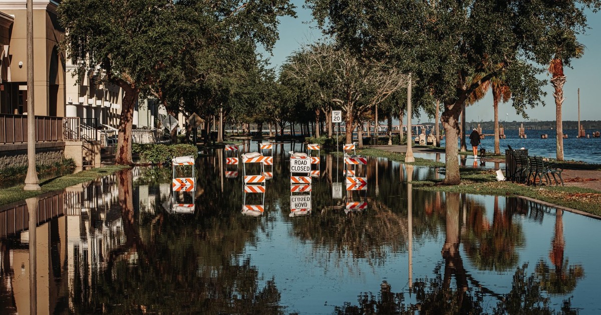 A flooded street with road closed signs reflecting in the water along a tree-lined sidewalk.