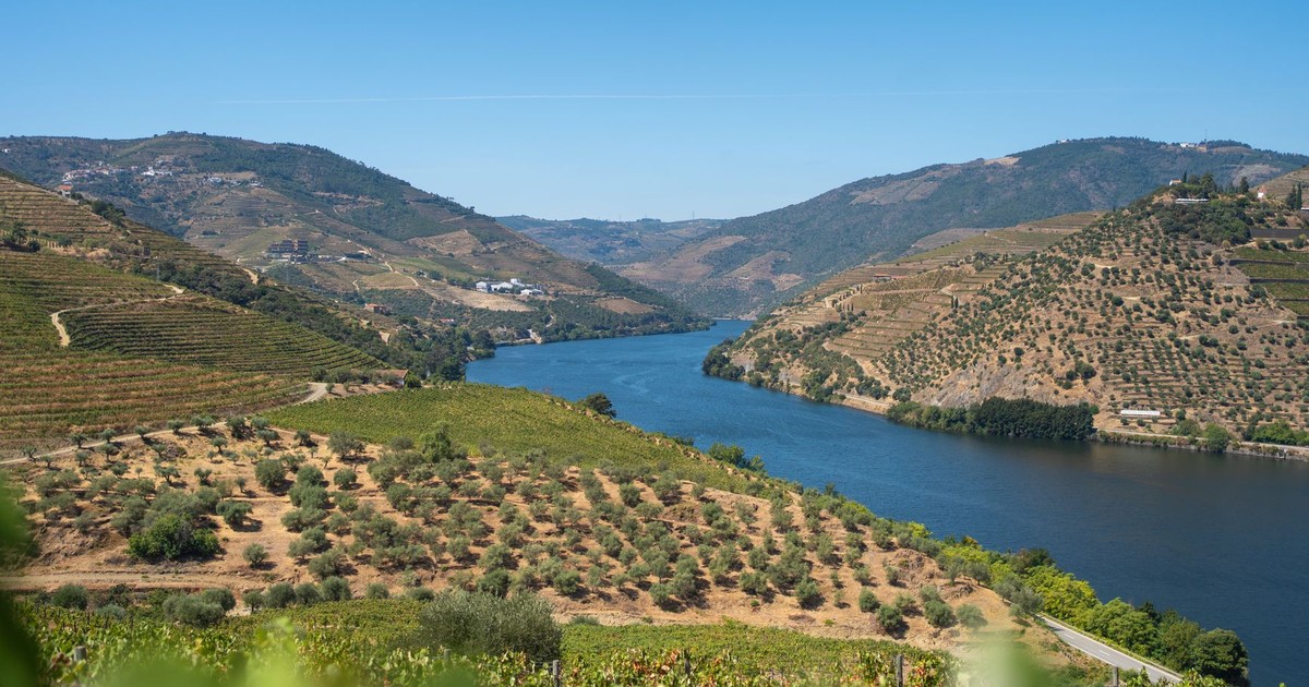 Beautiful view of the Douro River flanked by vineyards in Porto, Portugal.