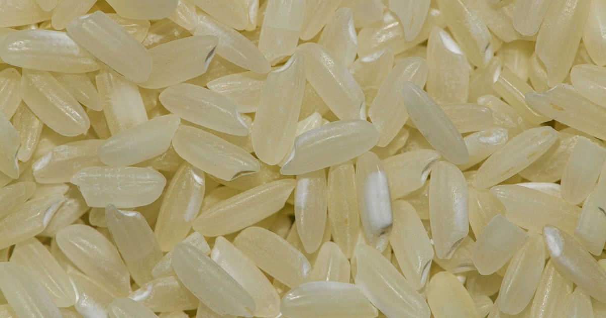 Detailed macro shot of uncooked rice grains, perfect for food and grain photography.