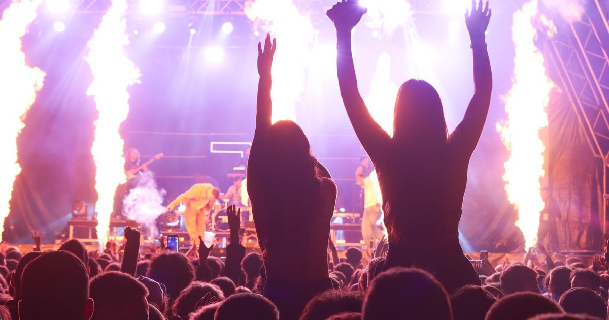 Lively concert crowd against a dazzling stage with fire effects, capturing the energy of live music.