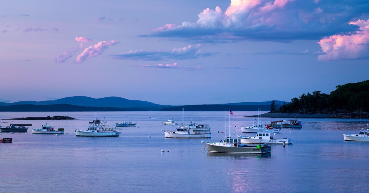 Boats anchored in a calm harbor during a pastel sunset with tranquil water.
