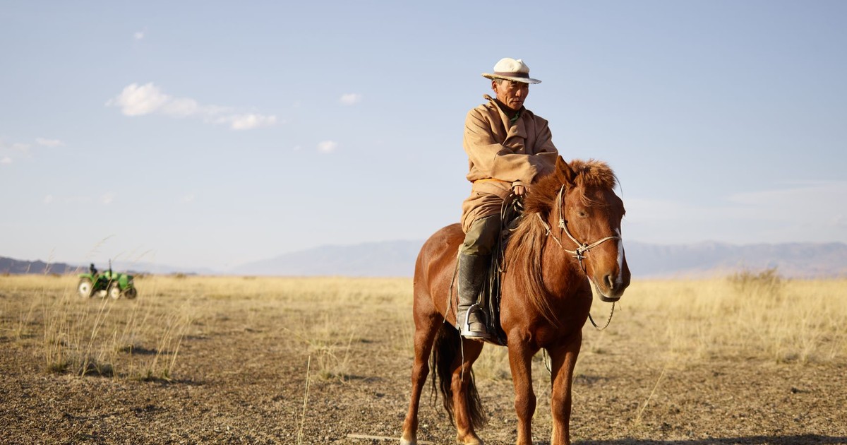 Senior Asian horseman wearing national cloth riding brown horse near green tractor in prairie with dried yellow grass and distant mountains in haze under clear blue sky