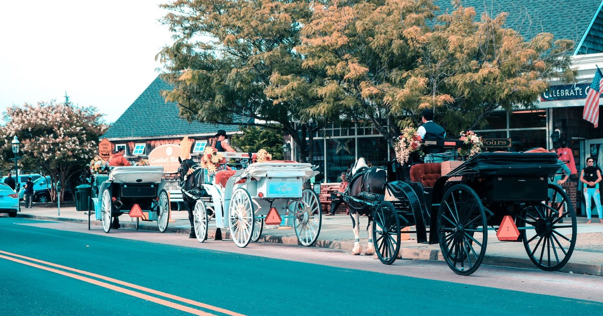 Horse-drawn carriages lined up downtown Cape May, NJ, showcasing quaint street life.
