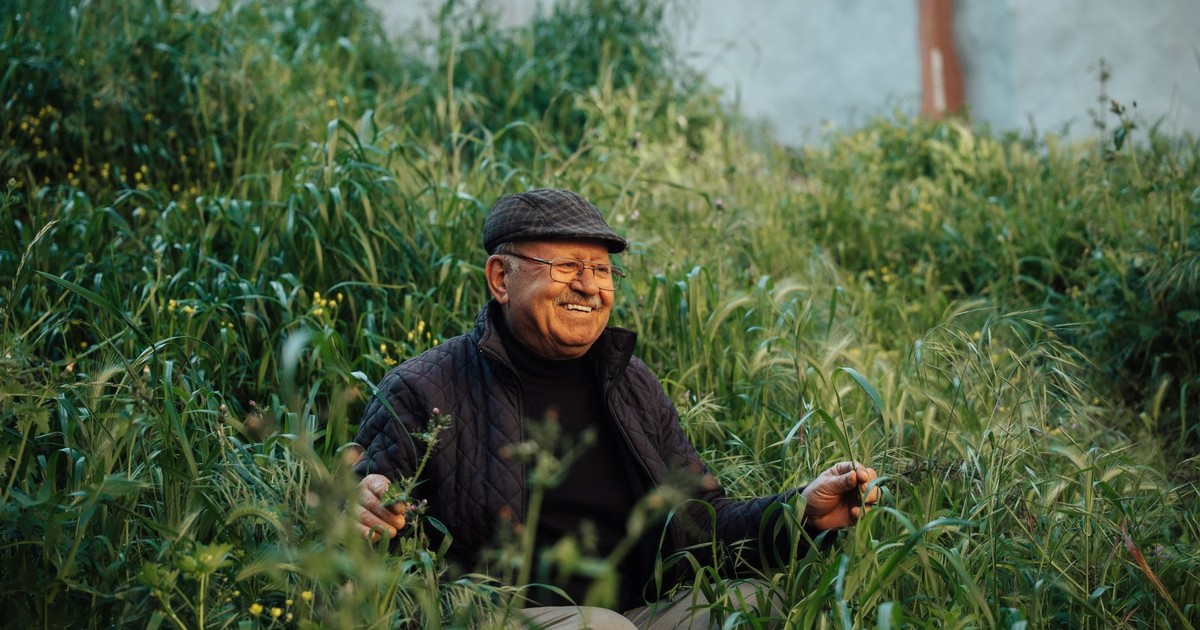 28 Hobbies Seniors Can Start Enjoying Right Now (No Experience Needed) - Featured image