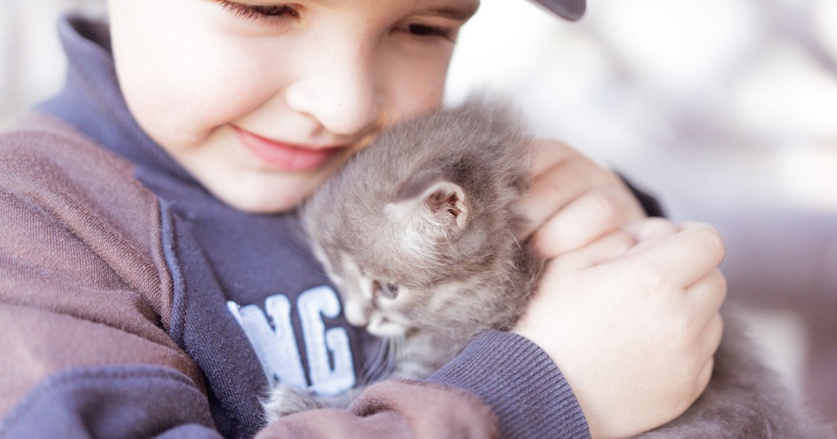 A cute scene depicting a child holding a fluffy kitten with care and affection.