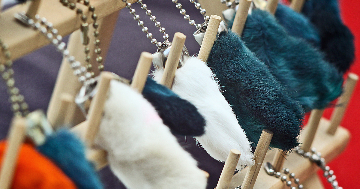 The Surprisingly Dark History of the Lucky Rabbit’s Foot