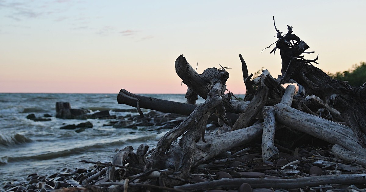 Driftwood and rocks along Ontario's lakeshore at sunset, creating a serene coastal landscape.