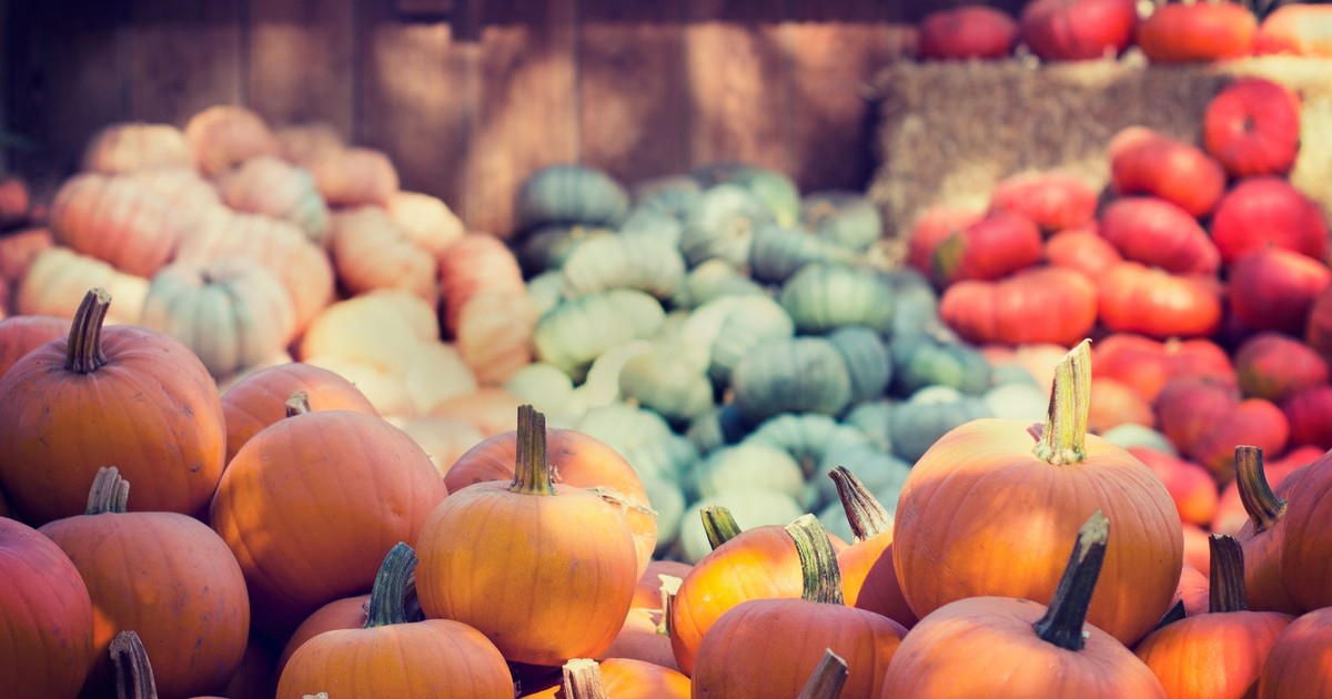 A vibrant collection of pumpkins and squash at an outdoor market, ideal for fall themes.