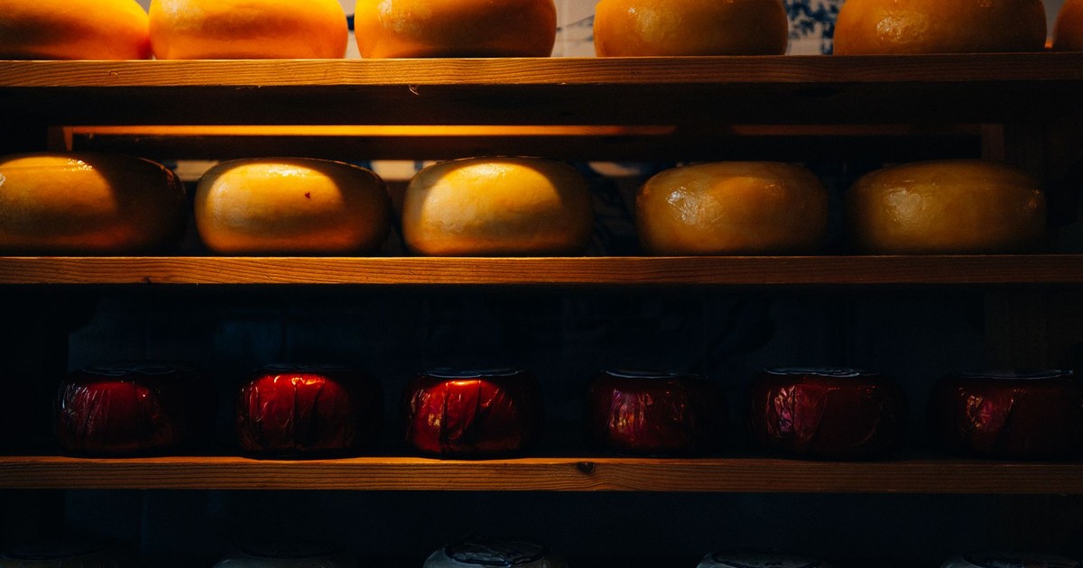 A variety of Gouda and Edam cheese wheels displayed on wooden shelves in Amsterdam.