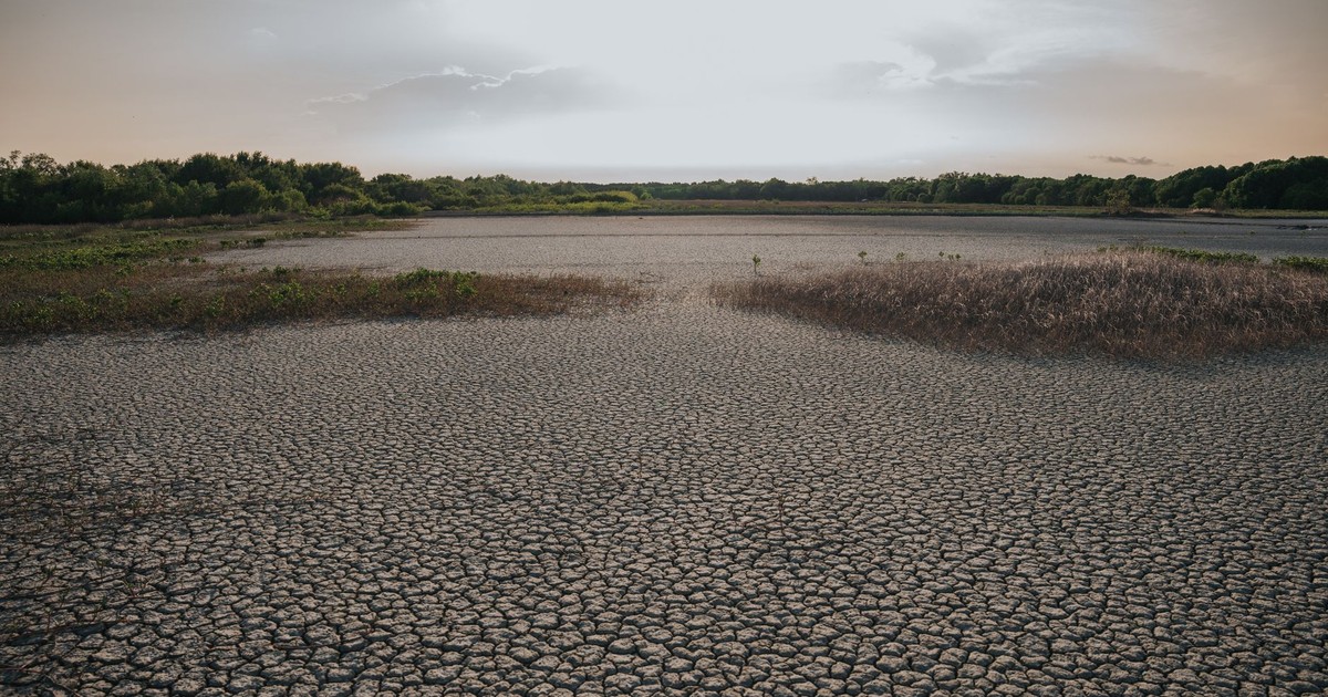 This Oceanfront Texas City May Only Have 1 Year of Water Left - Featured image