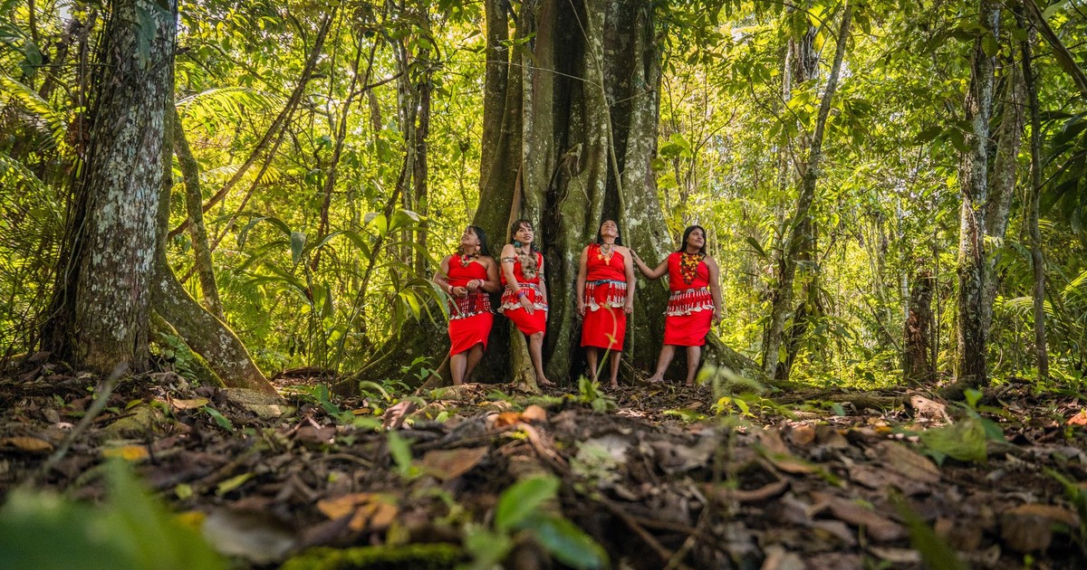 Portrait of indigenous women in traditional attire in the lush forests of San Martín, Perú.